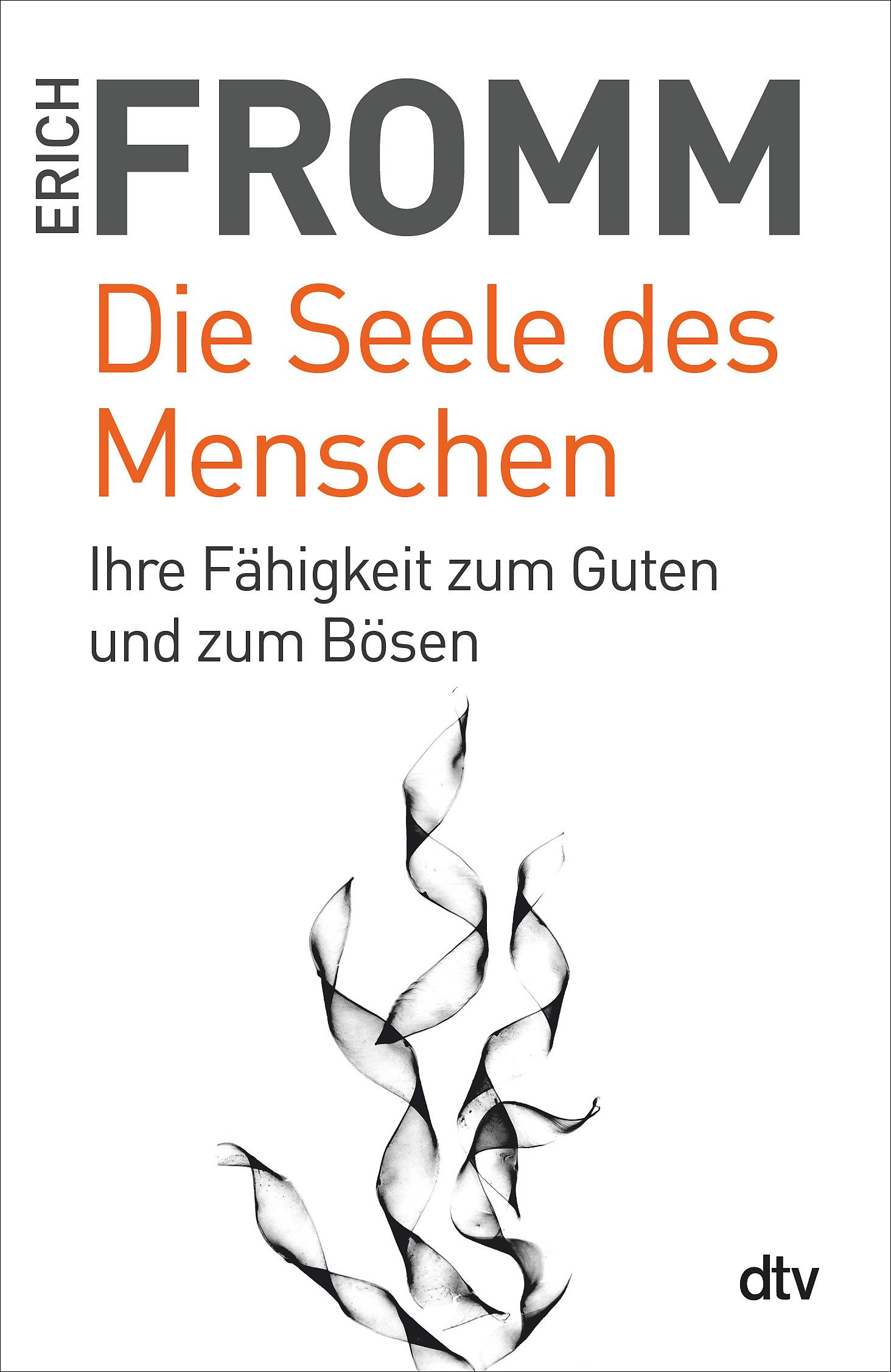 Vorderes Coverbild Die Seele des Menschen