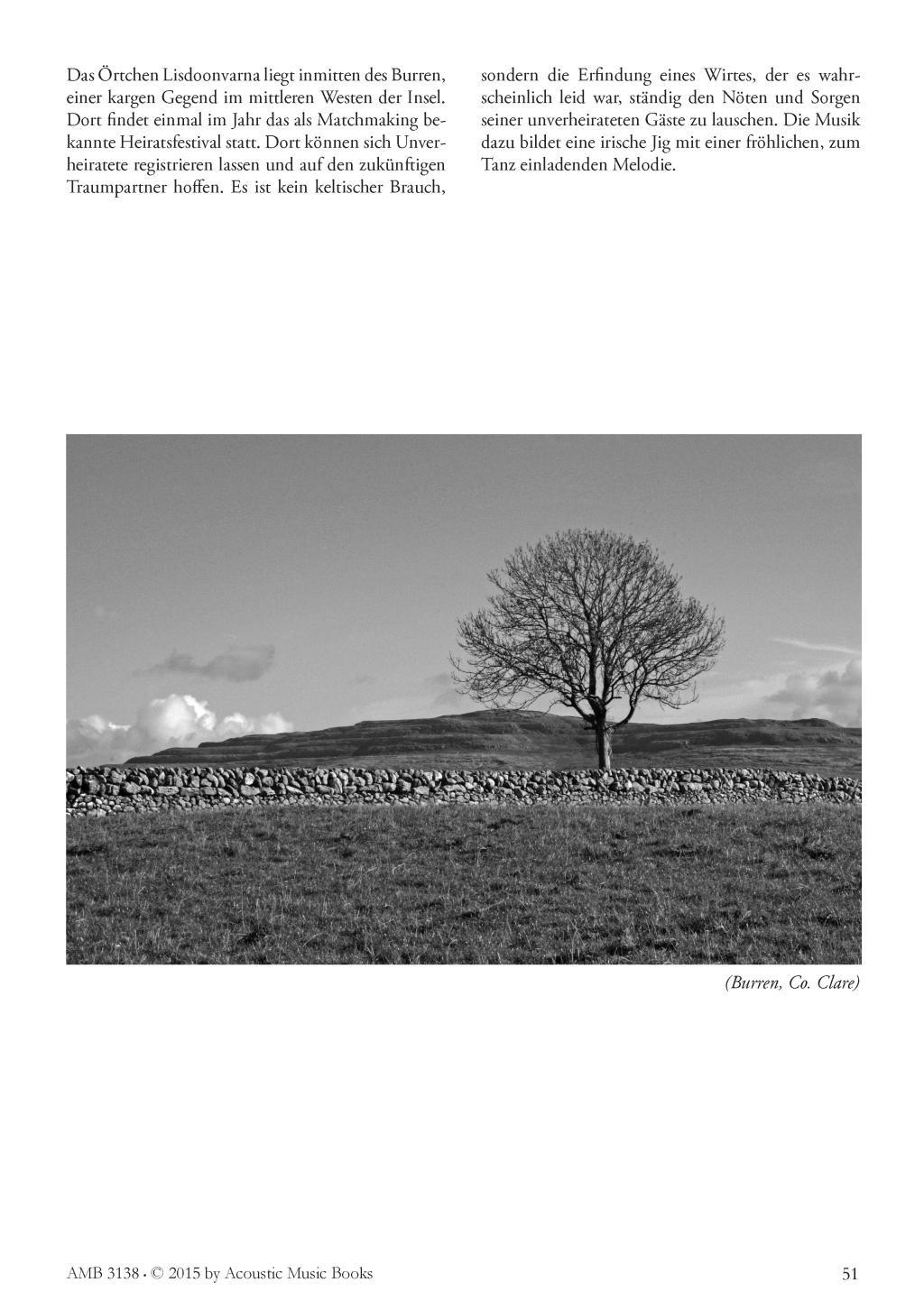 Beispielinhalt (Bild) Irish Guitar Tunes