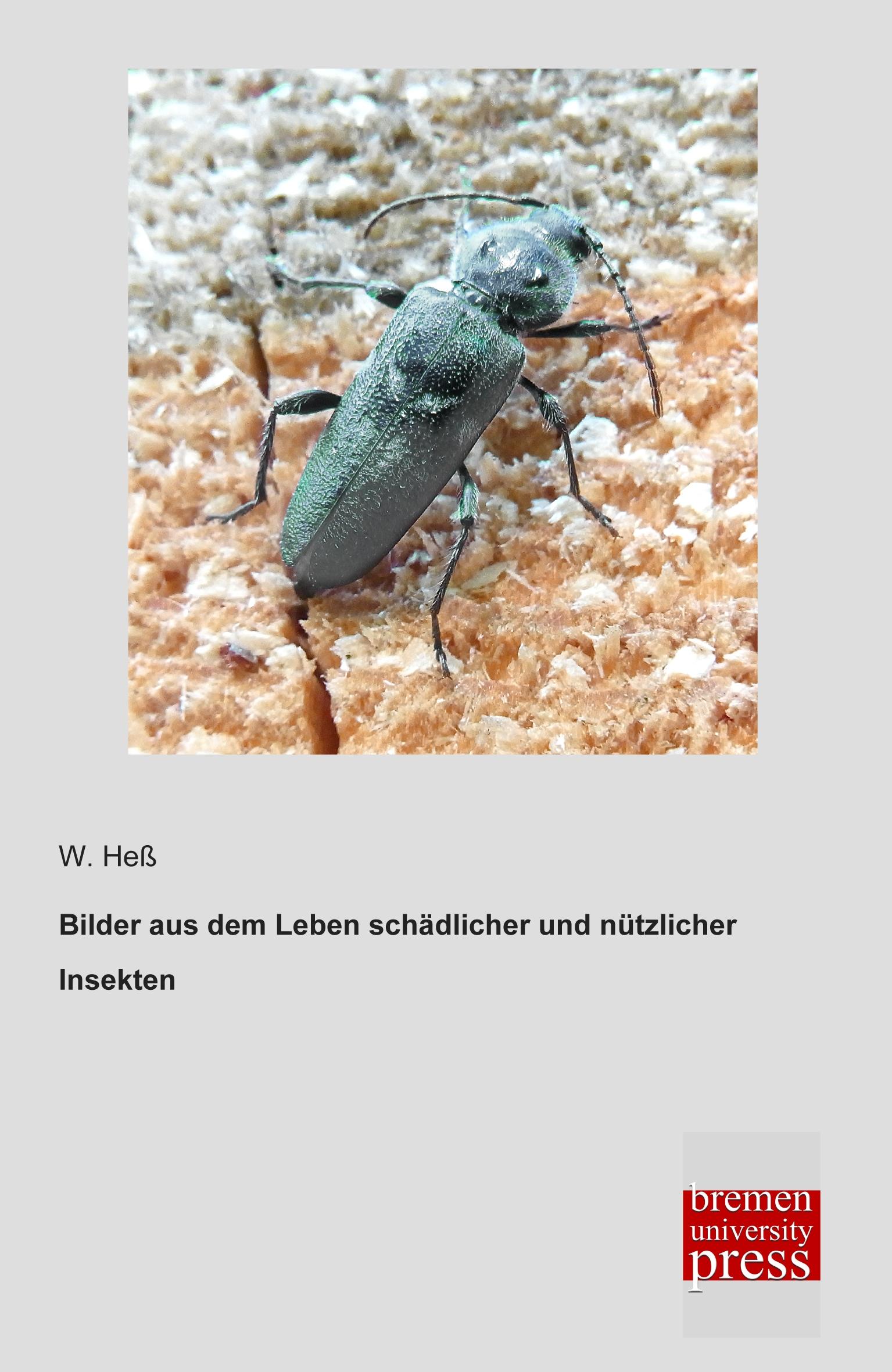 Vorderes Coverbild Bilder aus dem Leben schädlicher und nützlicher Insekten