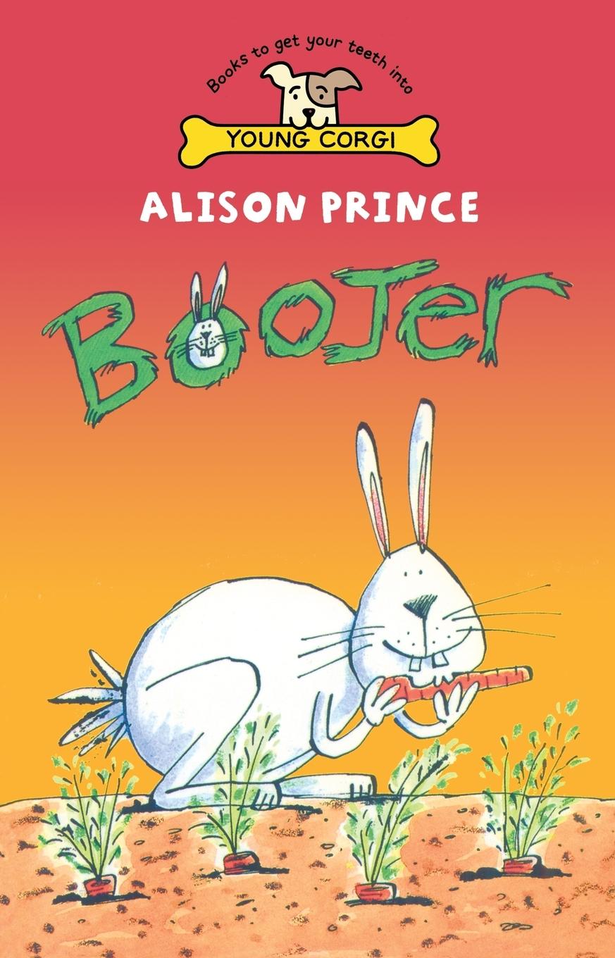 Vorderes Coverbild Boojer