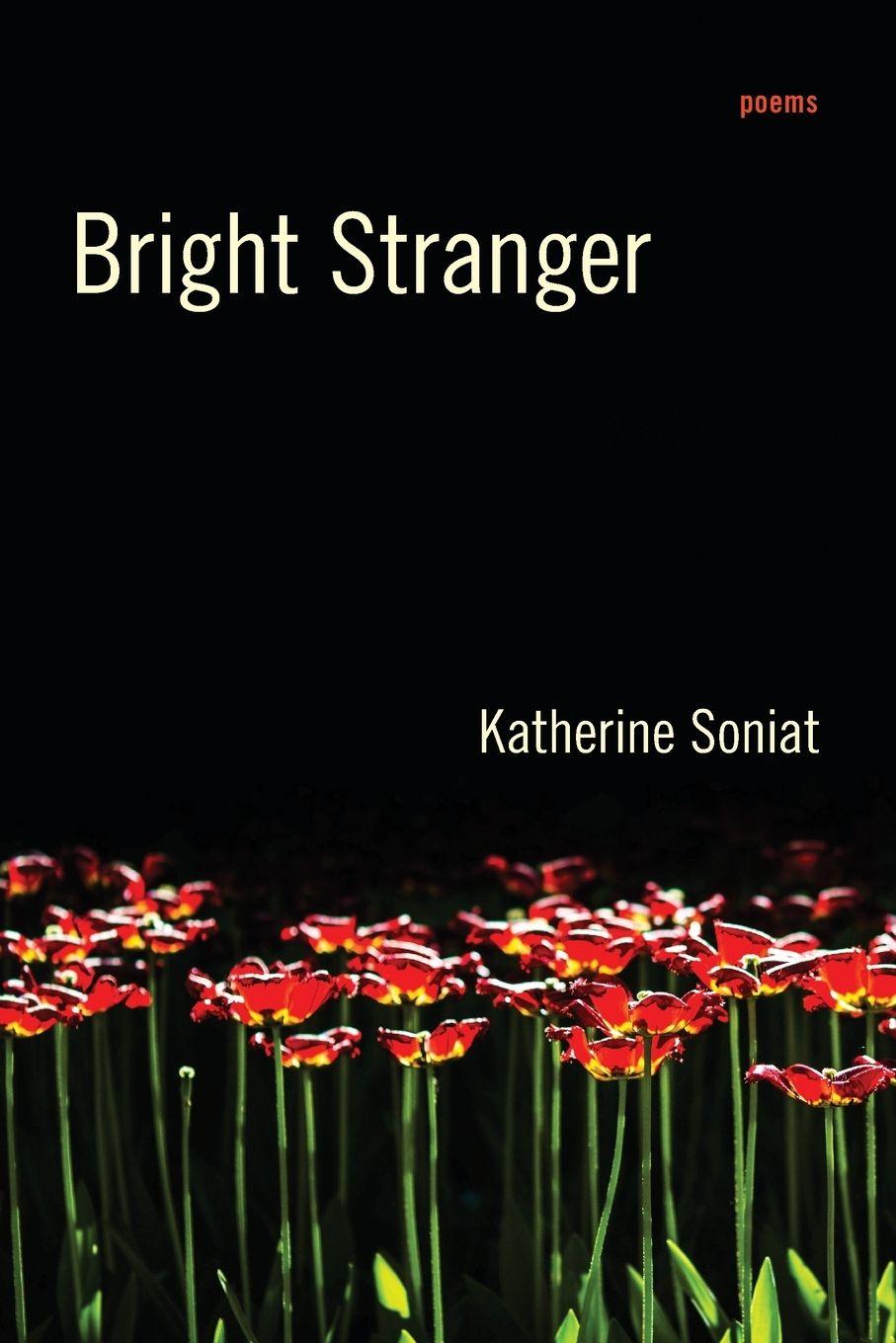 Vorderes Coverbild Bright Stranger