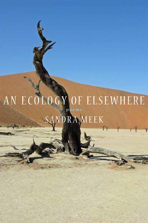 Vorderes Coverbild An Ecology of Elsewhere: Poems