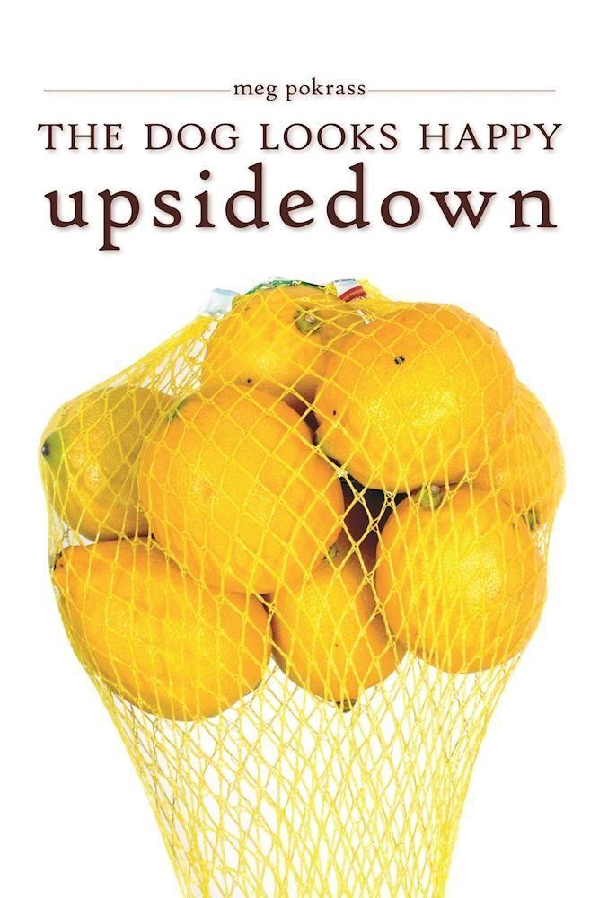 Vorderes Coverbild The Dog Looks Happy Upside Down