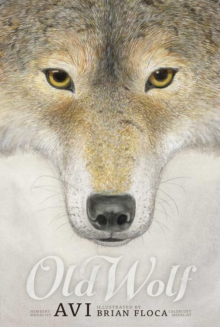 Vorderes Coverbild Old Wolf: A Fable
