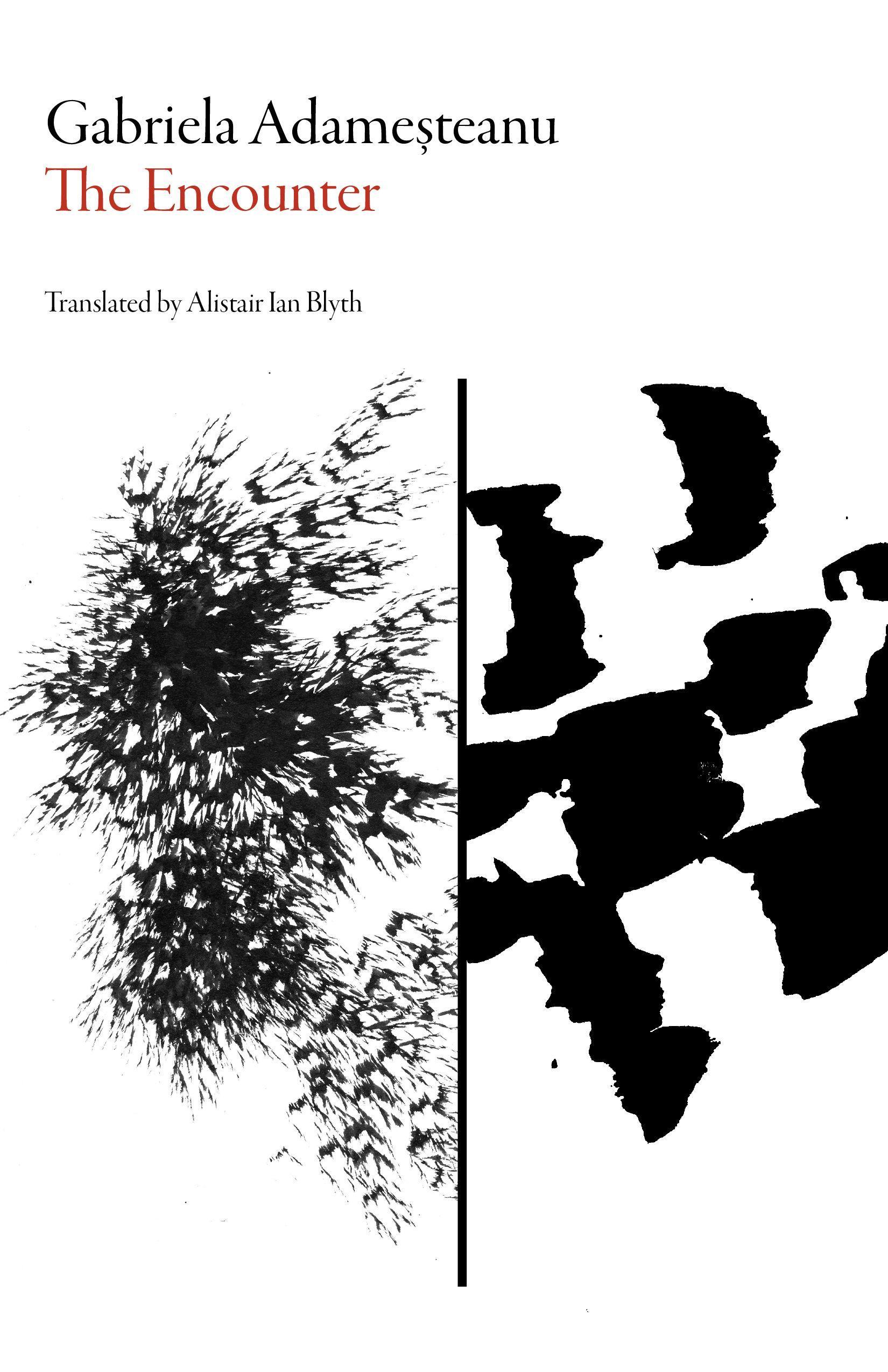 Vorderes Coverbild The Encounter