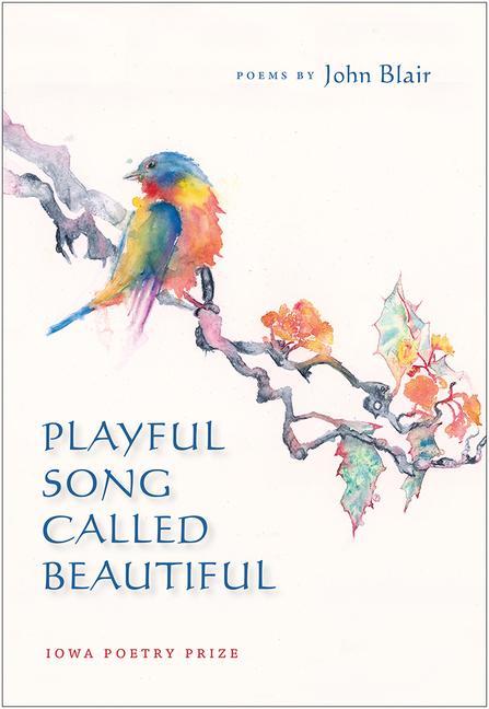 Vorderes Coverbild Playful Song Called Beautiful