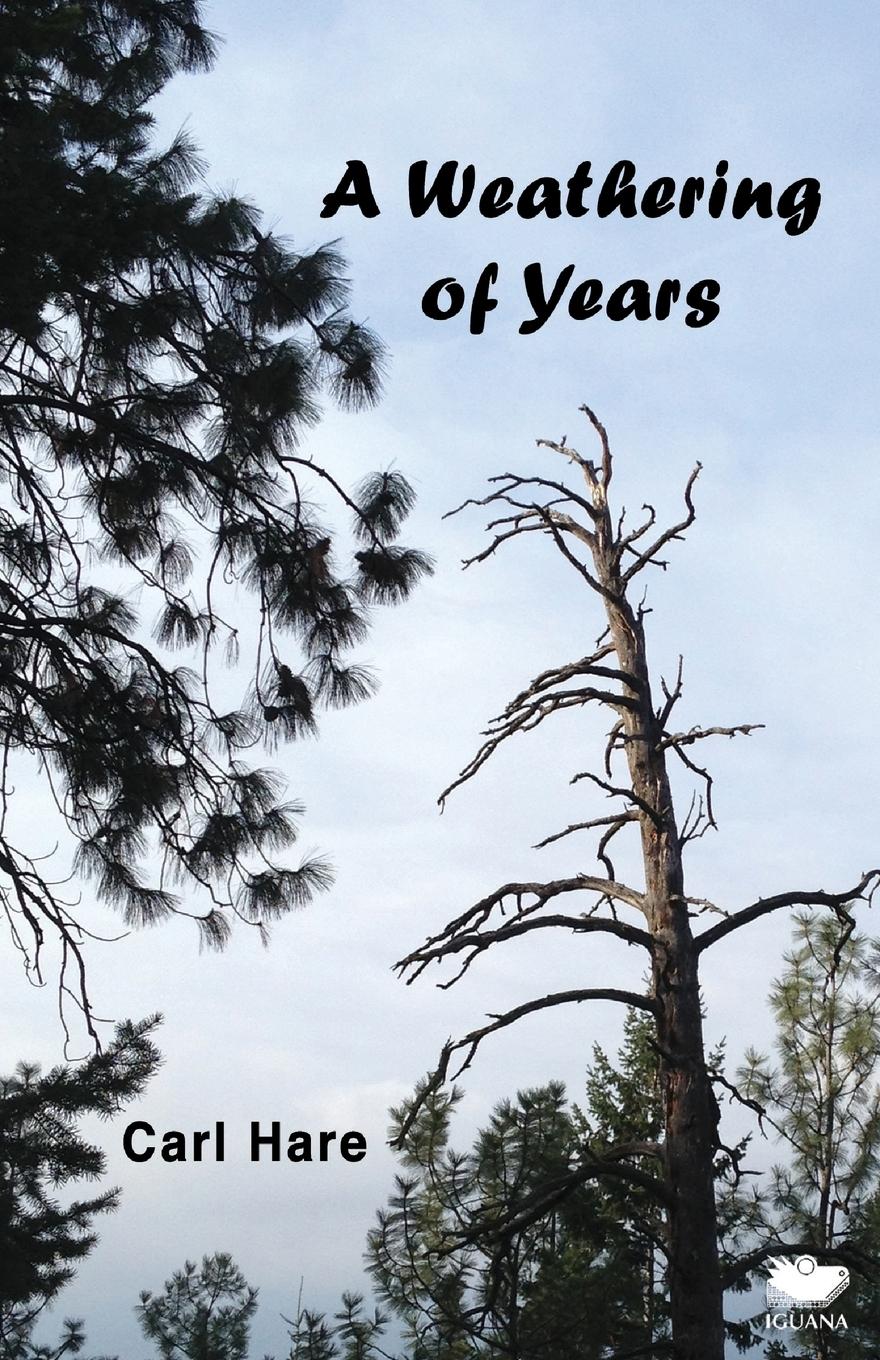 Vorderes Coverbild A Weathering of Years