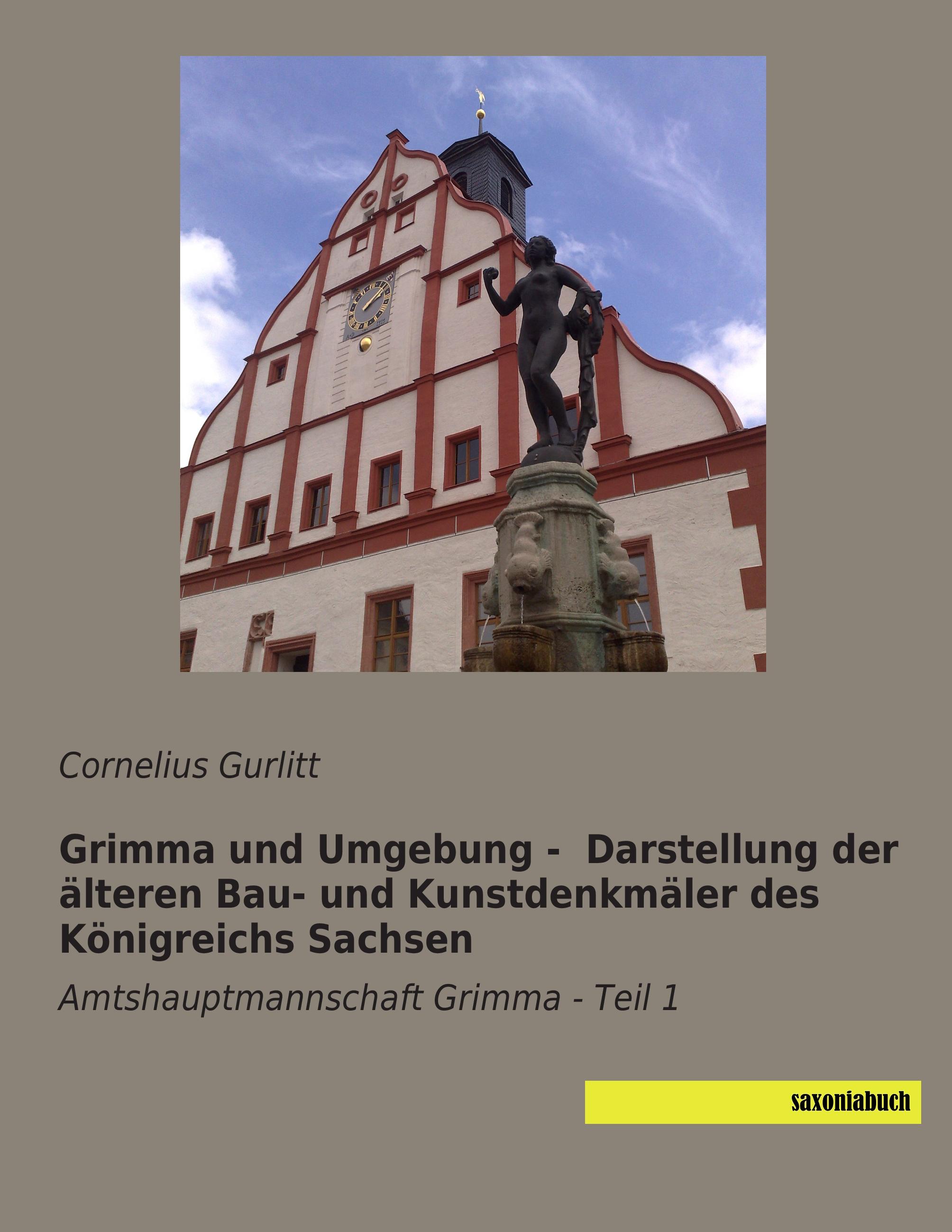 Vorderes Coverbild Grimma und Umgebung -  Darstellung der älteren Bau- und Kunstdenkmäler des Königreichs Sachsen