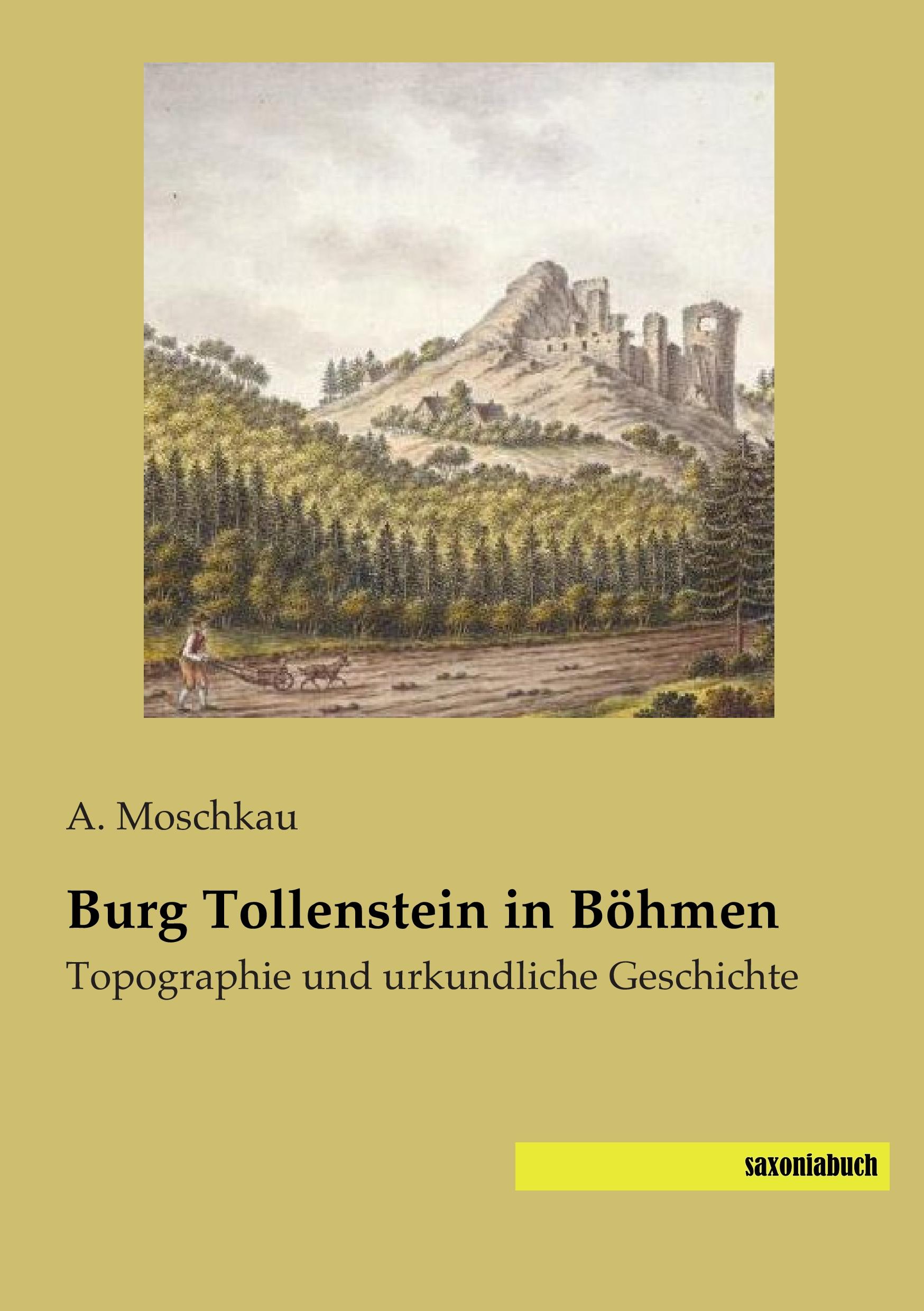 Vorderes Coverbild Burg Tollenstein in Böhmen