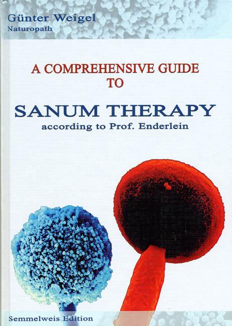 Vorderes Coverbild A comprehensive Guide to Sanum Therapy according to Prof. Enderlein