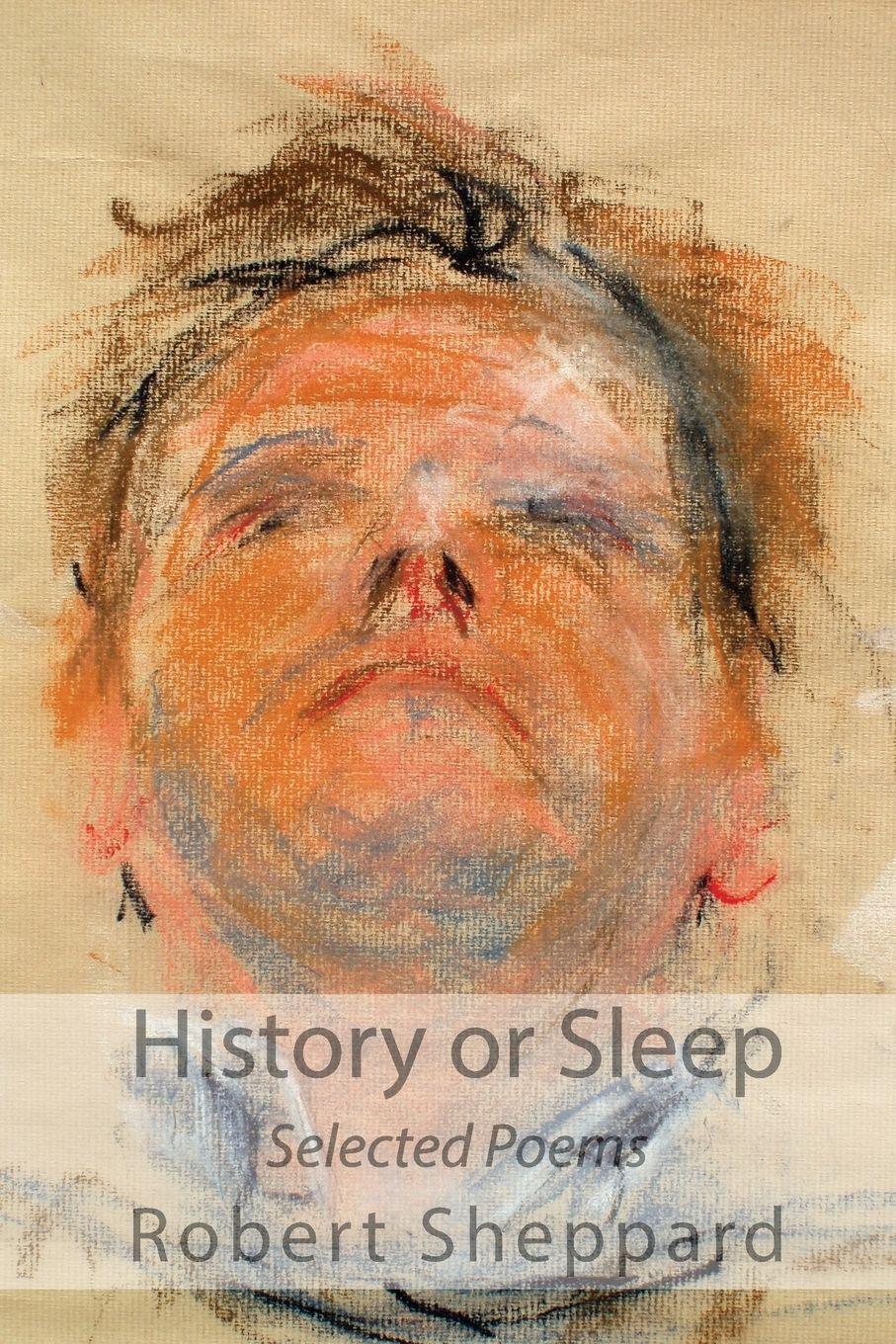 Vorderes Coverbild History or Sleep - Selected Poems