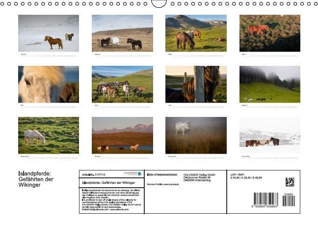 Beispielinhalt (Bild) Islandpferde: Gefährten der Wikinger (Wandkalender immerwährend DIN A3 quer)