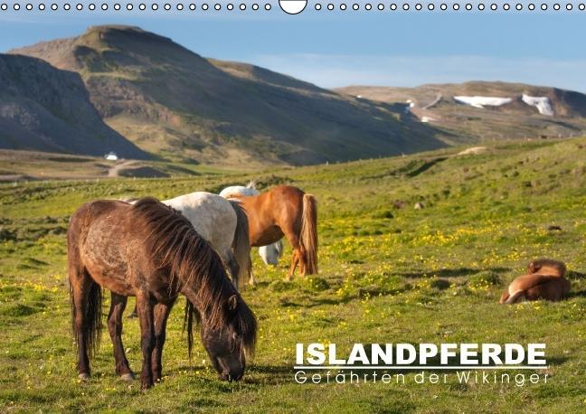 Vorderes Coverbild Islandpferde: Gefährten der Wikinger (Wandkalender immerwährend DIN A3 quer)