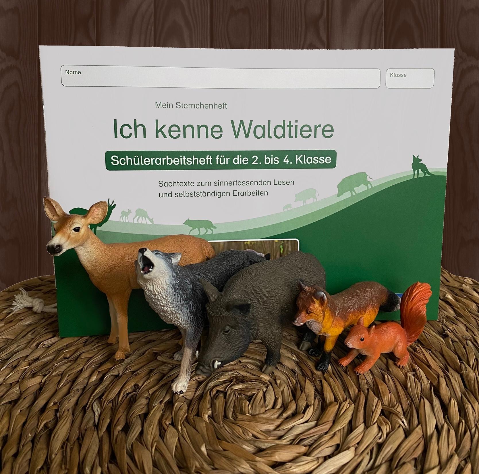Beispielinhalt (Bild) Ich kenne Waldtiere - Schülerarbeitsheft für die 2. bis 4. Klasse