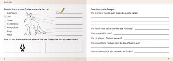 Beispielinhalt (Bild) Ich kenne Waldtiere - Schülerarbeitsheft für die 2. bis 4. Klasse