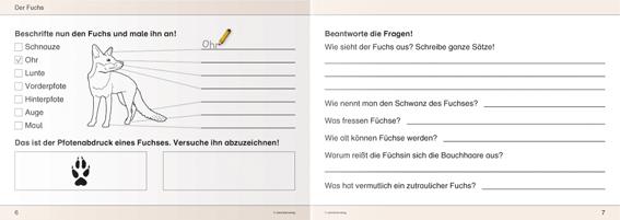 Beispielinhalt (Bild) Ich kenne Waldtiere - Schülerarbeitsheft für die 2. bis 4. Klasse