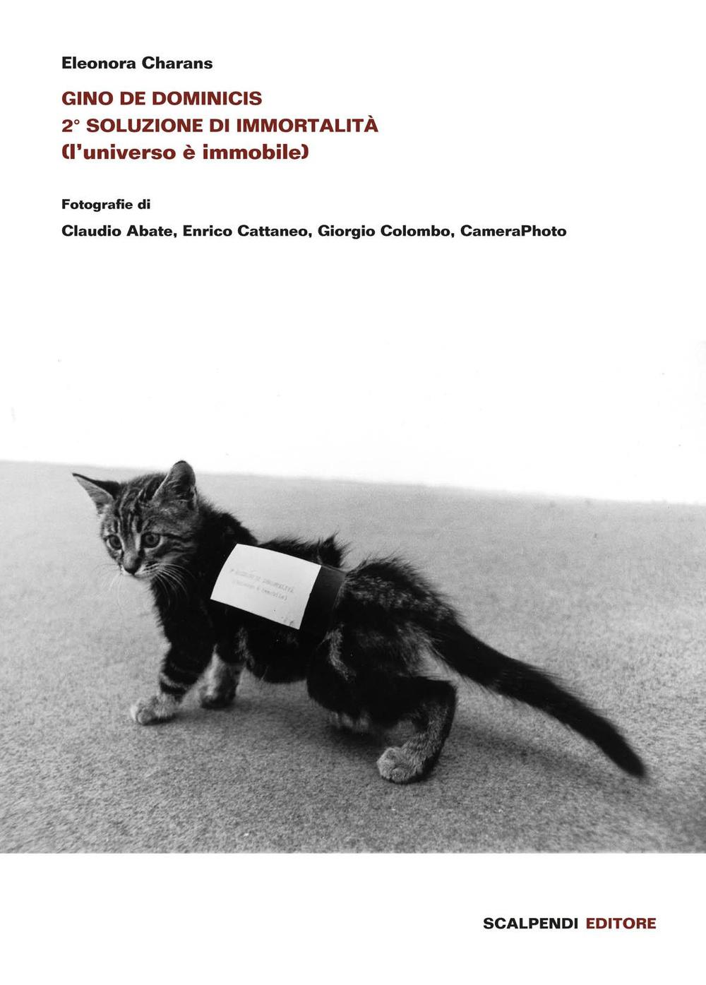 Vorderes Coverbild Gino De Dominicis. 2ª soluzione di immortalità (l'universo è immobile)