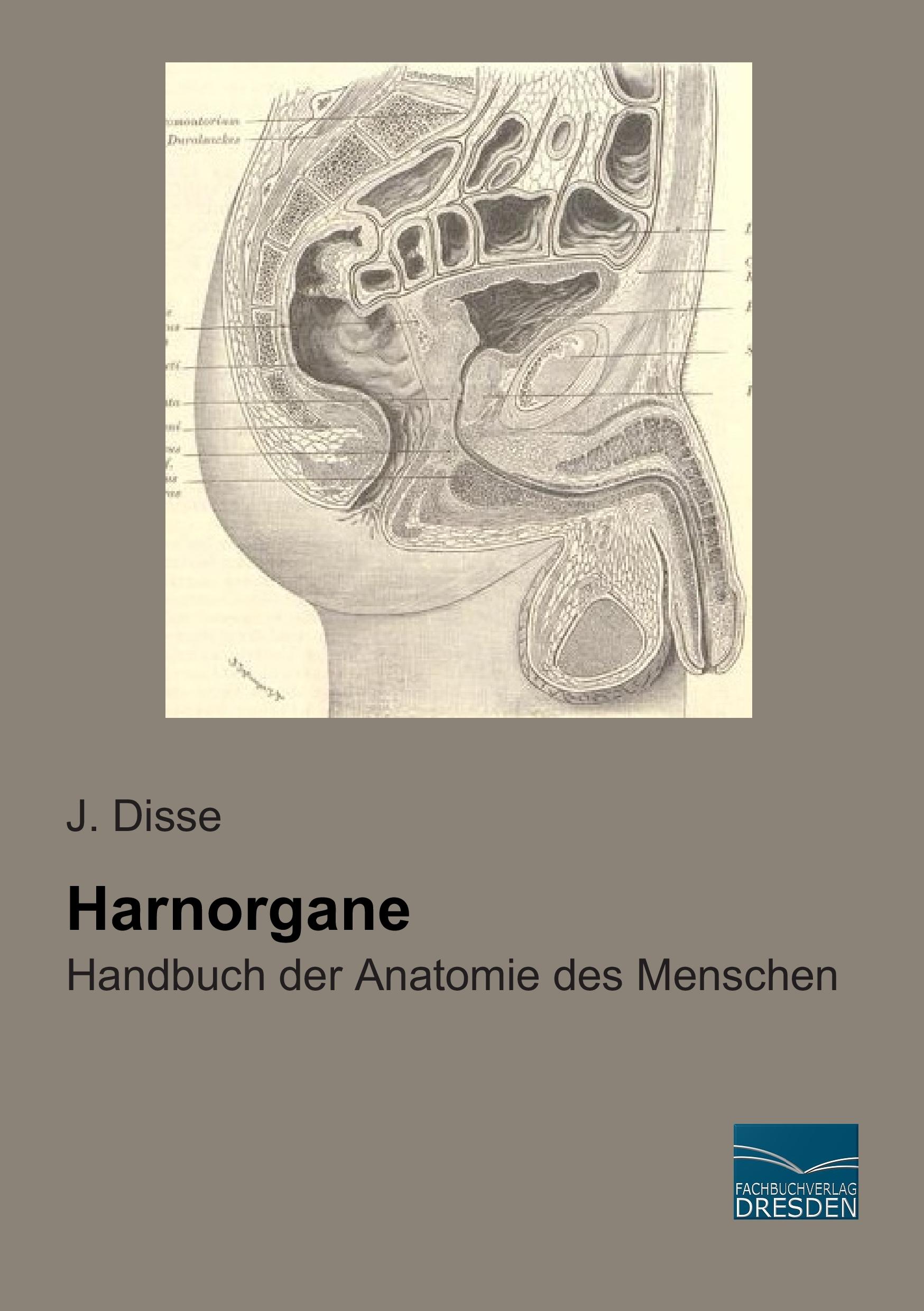 Vorderes Coverbild Harnorgane