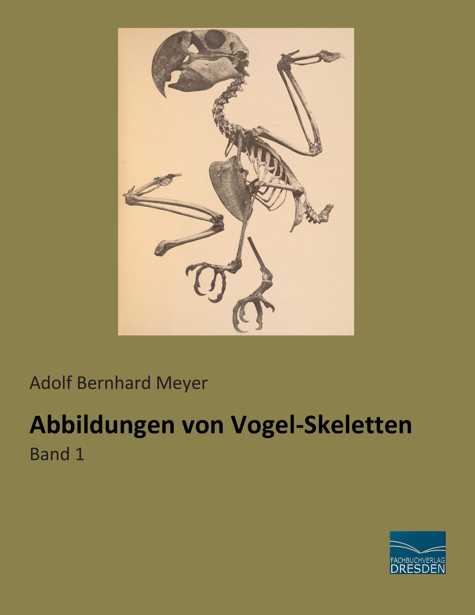 Vorderes Coverbild Abbildungen von Vogel-Skeletten