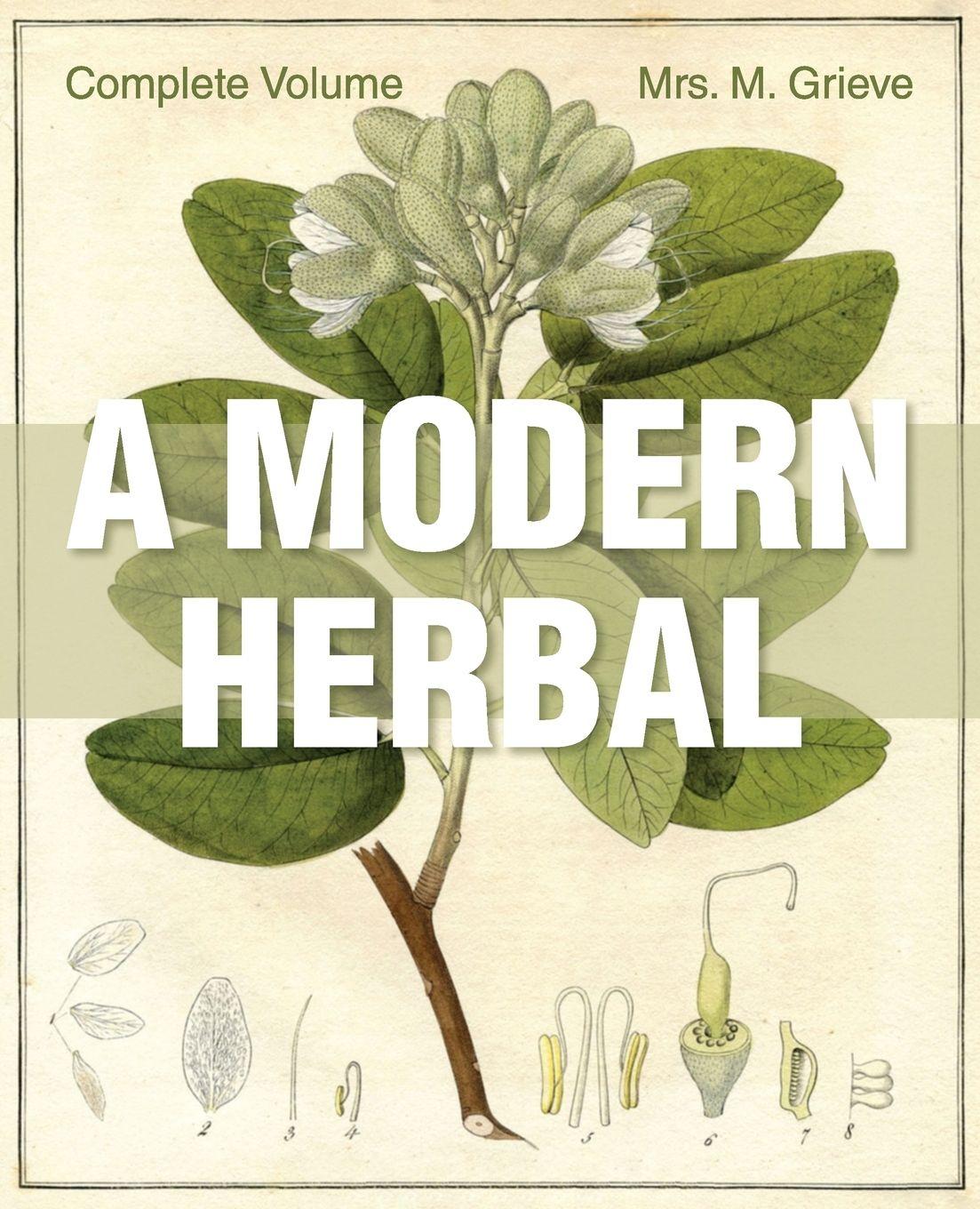 Vorderes Coverbild A Modern Herbal