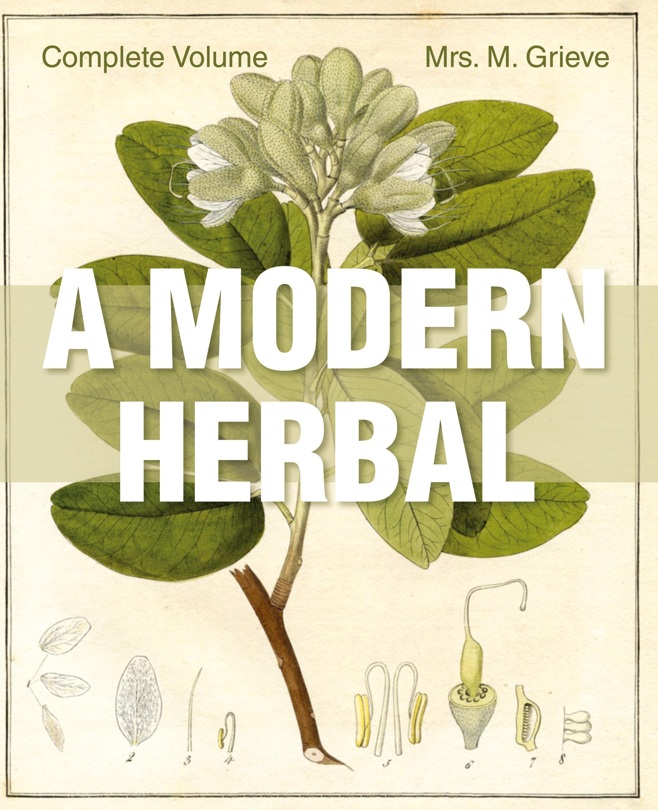 Vorderes Coverbild A Modern Herbal