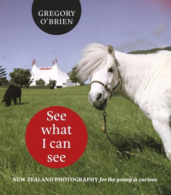 Vorderes Coverbild See What I Can See