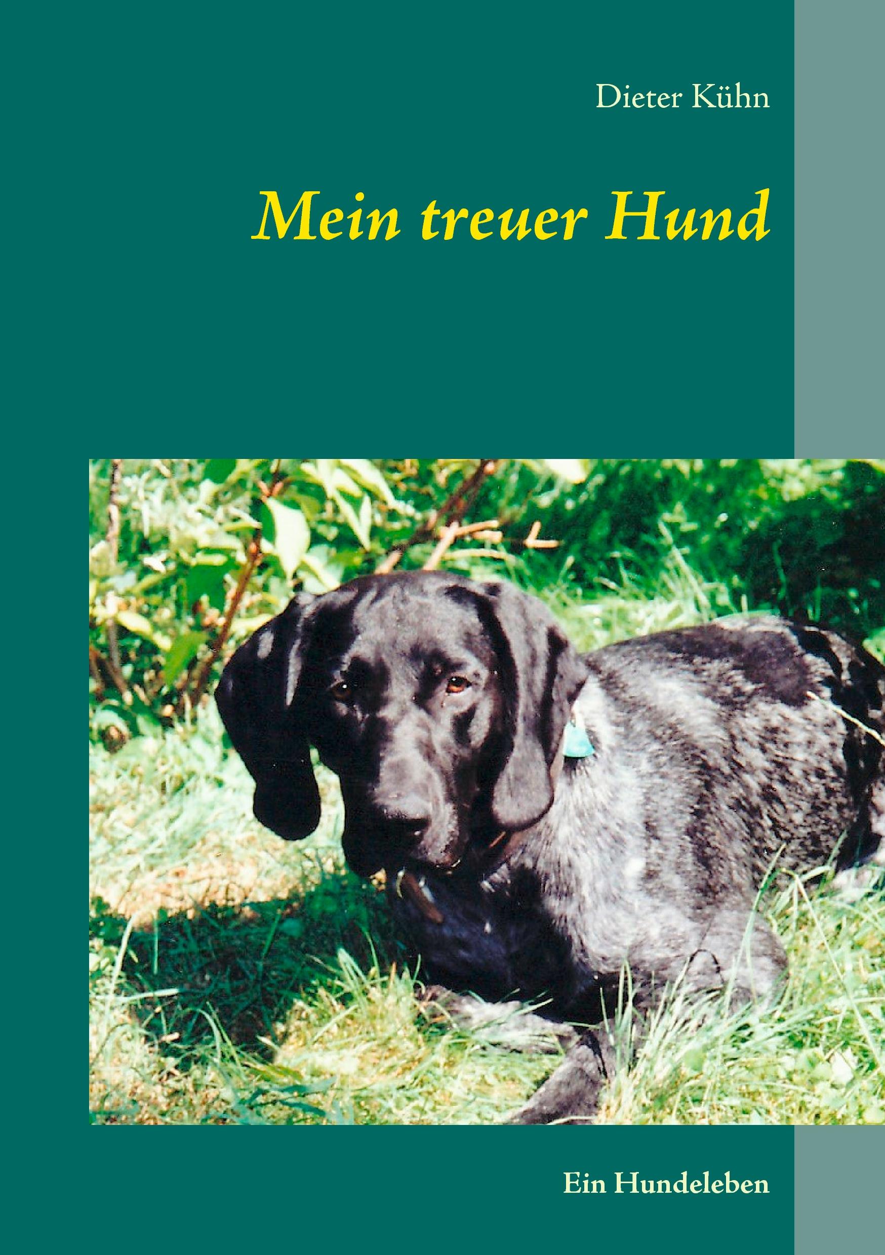 Vorderes Coverbild Mein treuer Hund