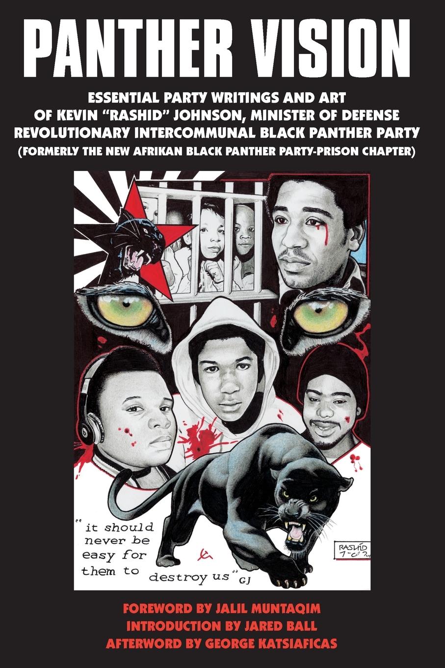Vorderes Coverbild Panther Vision