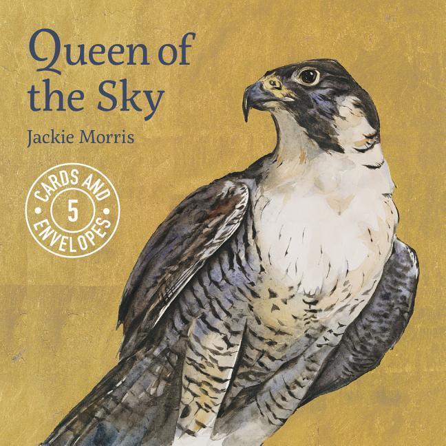 Vorderes Coverbild Jackie Morris Queen of the Sky Notecards Pack 1