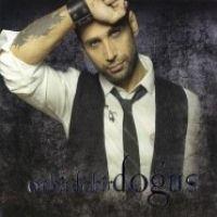 Vorderes Coverbild Onbindebir