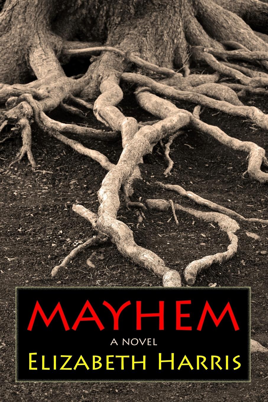 Vorderes Coverbild Mayhem