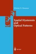Vorderes Coverbild Spatial Hysteresis and Optical Patterns