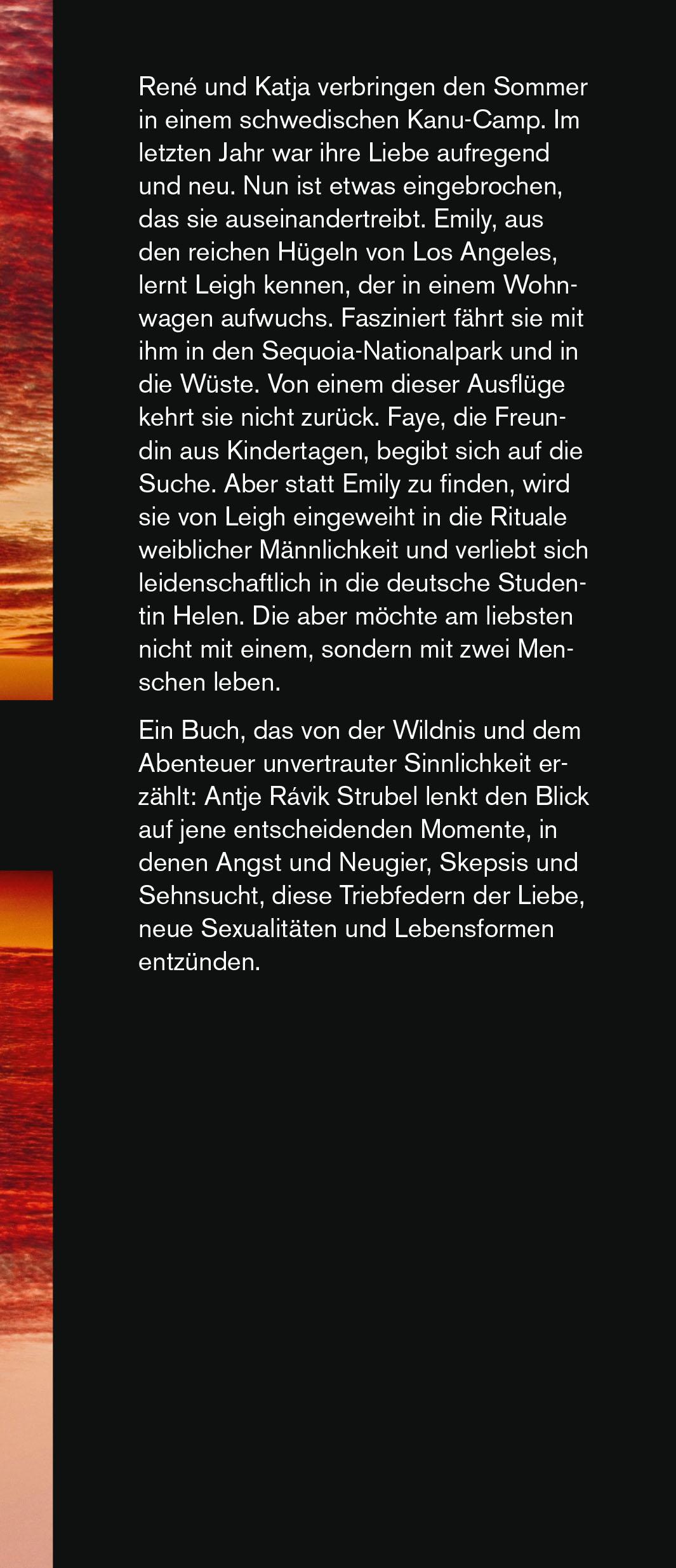 Beispielinhalt (Bild) In den Wäldern des menschlichen Herzens