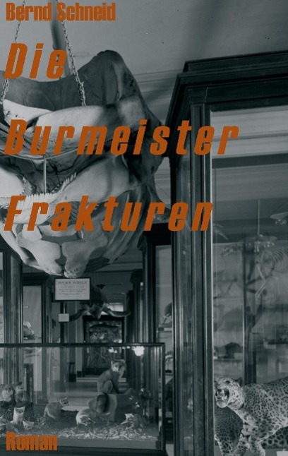 Vorderes Coverbild Die Burmeister Frakturen