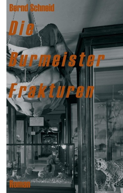 Vorderes Coverbild Die Burmeister Frakturen