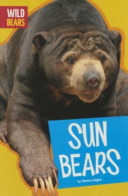 Vorderes Coverbild Sun Bears