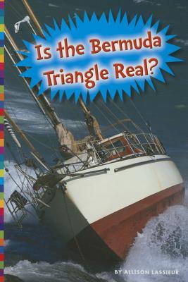 Vorderes Coverbild Is the Bermuda Triangle Real?