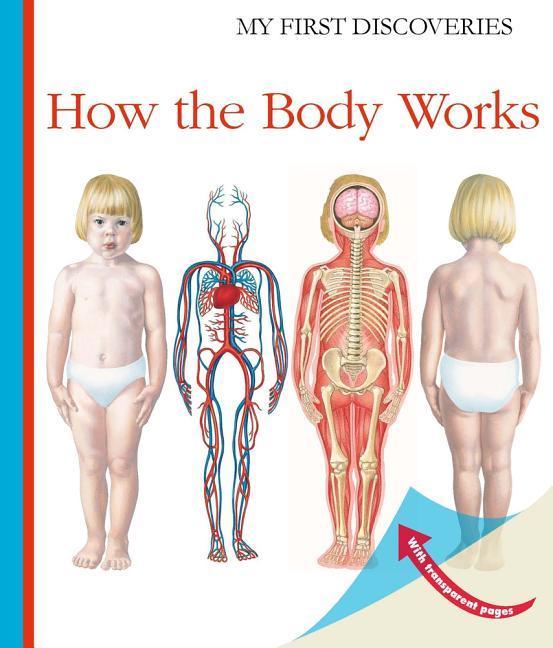 Vorderes Coverbild How the Body Works