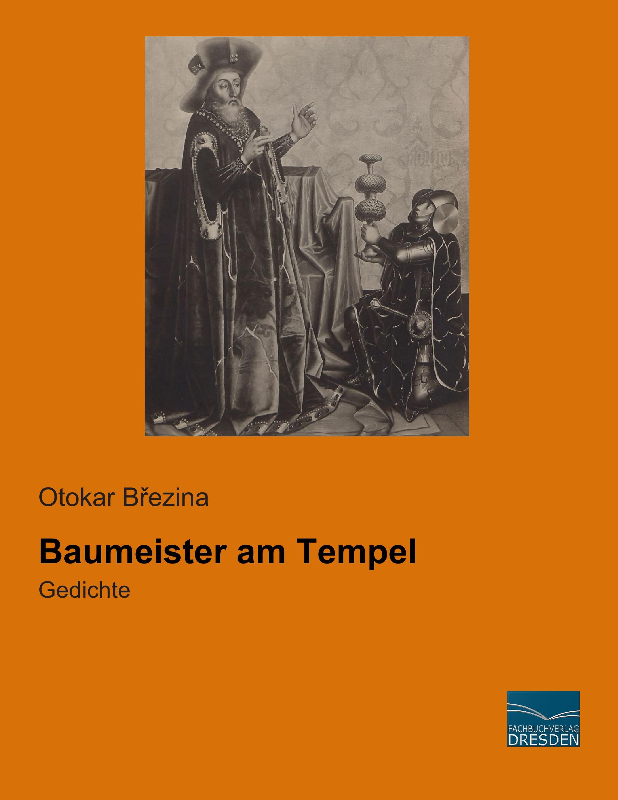 Vorderes Coverbild Baumeister am Tempel
