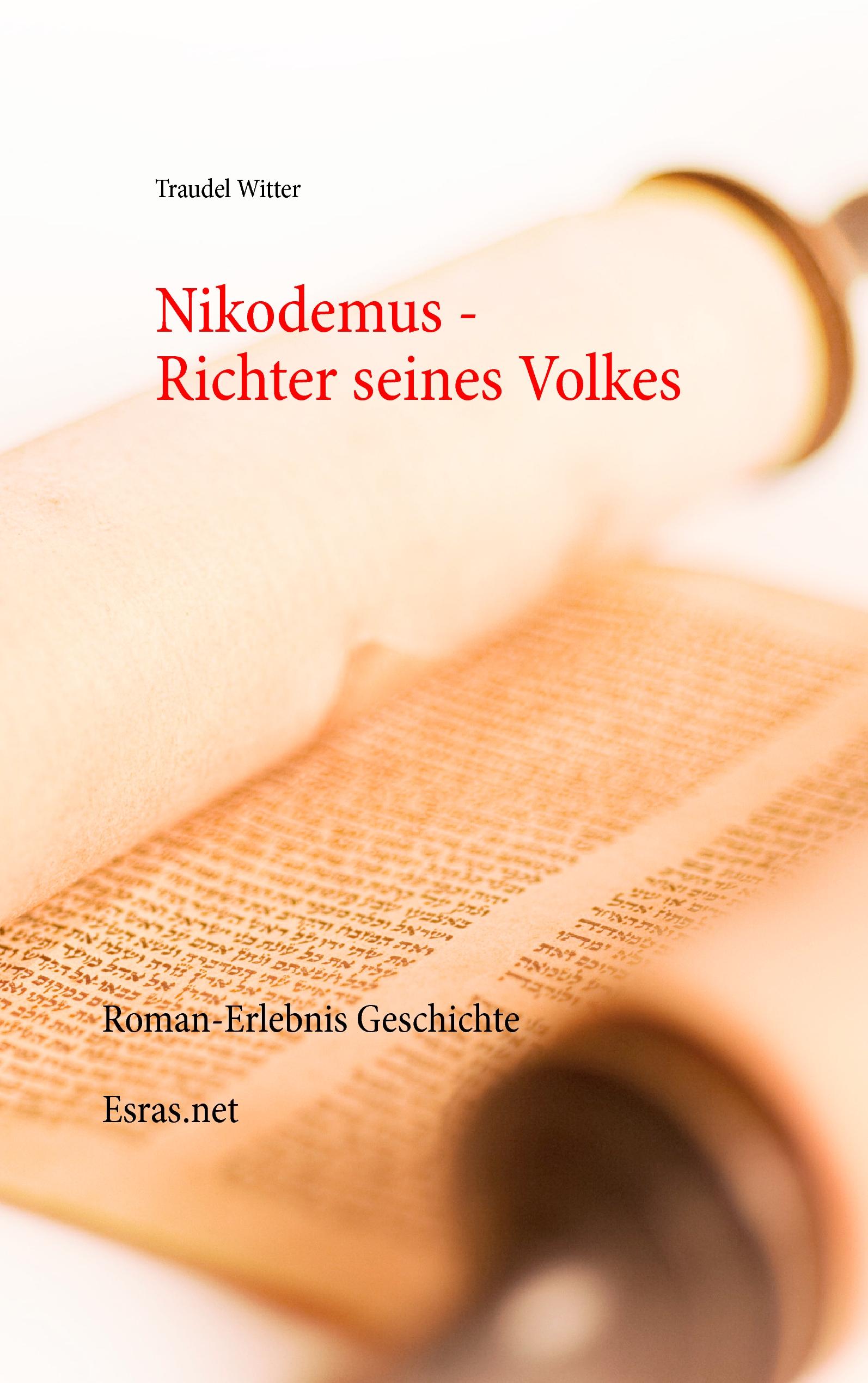 Vorderes Coverbild Nikodemus
