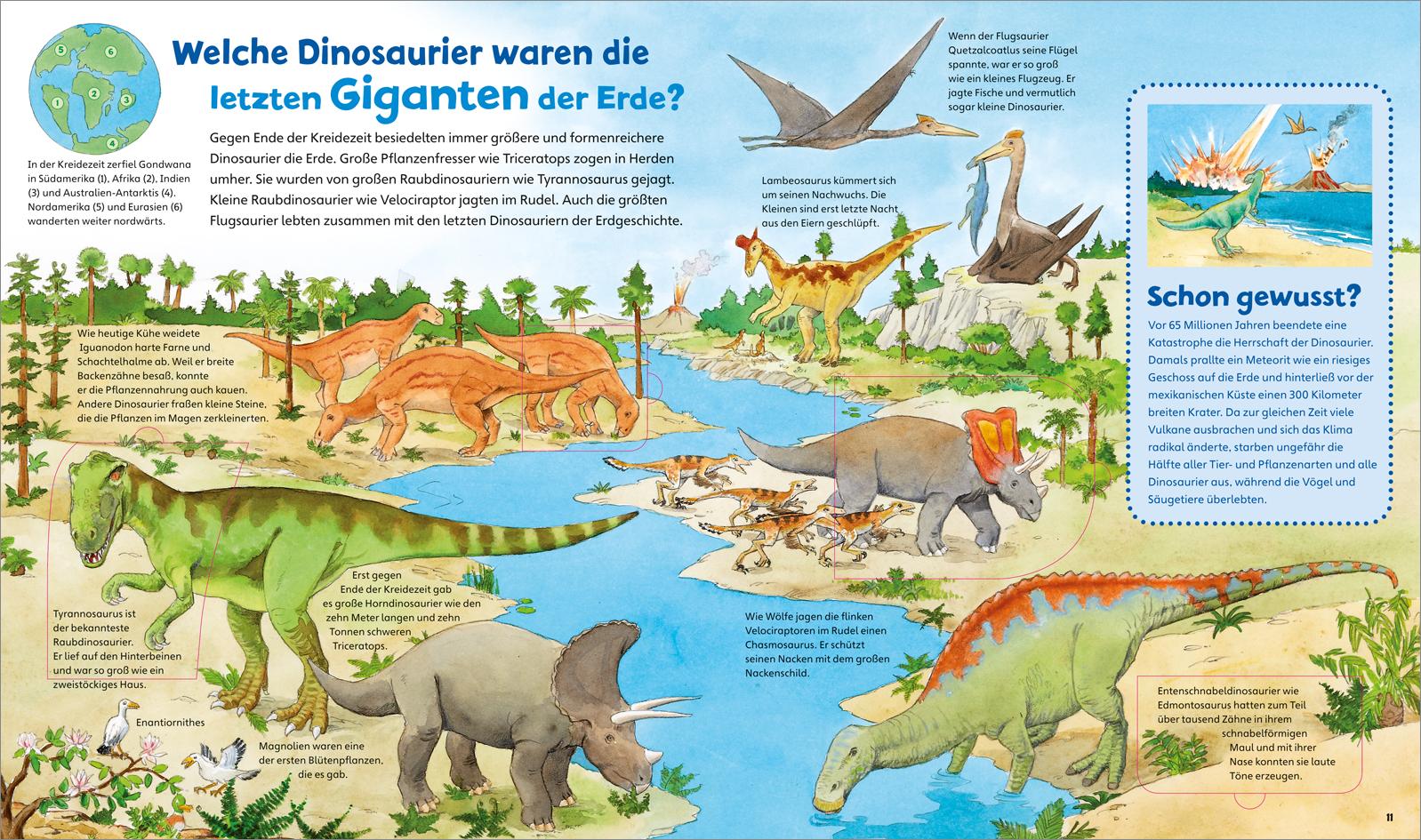 Beispielinhalt (Bild) WAS IST WAS Junior Band 30. Dinosaurier und Tiere der Urzeit