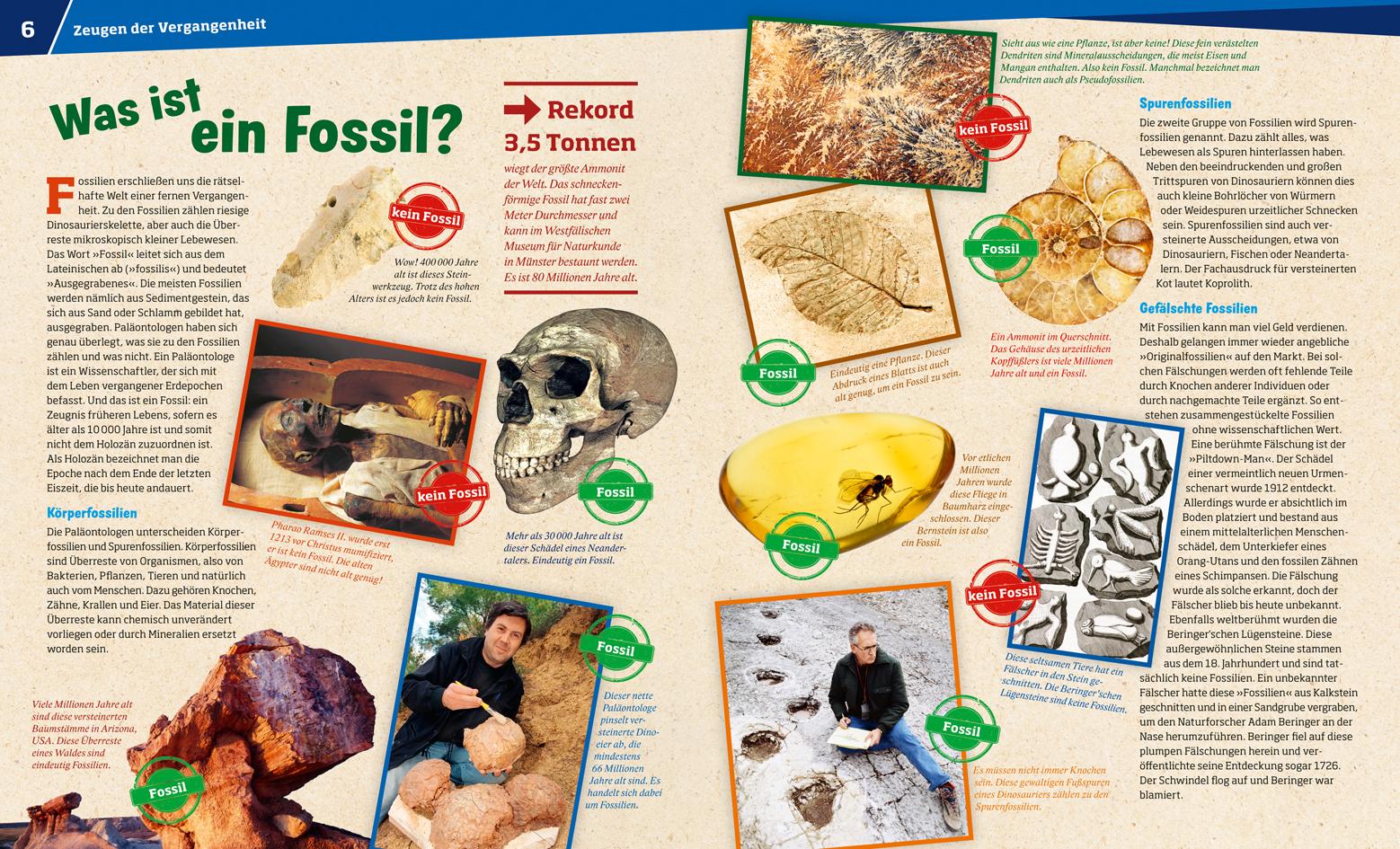 Beispielinhalt (Bild) WAS IST WAS Band 69 Fossilien. Spuren des Lebens