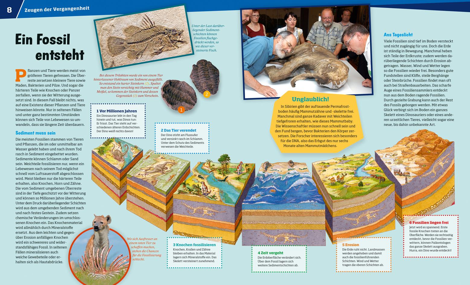Beispielinhalt (Bild) WAS IST WAS Band 69 Fossilien. Spuren des Lebens