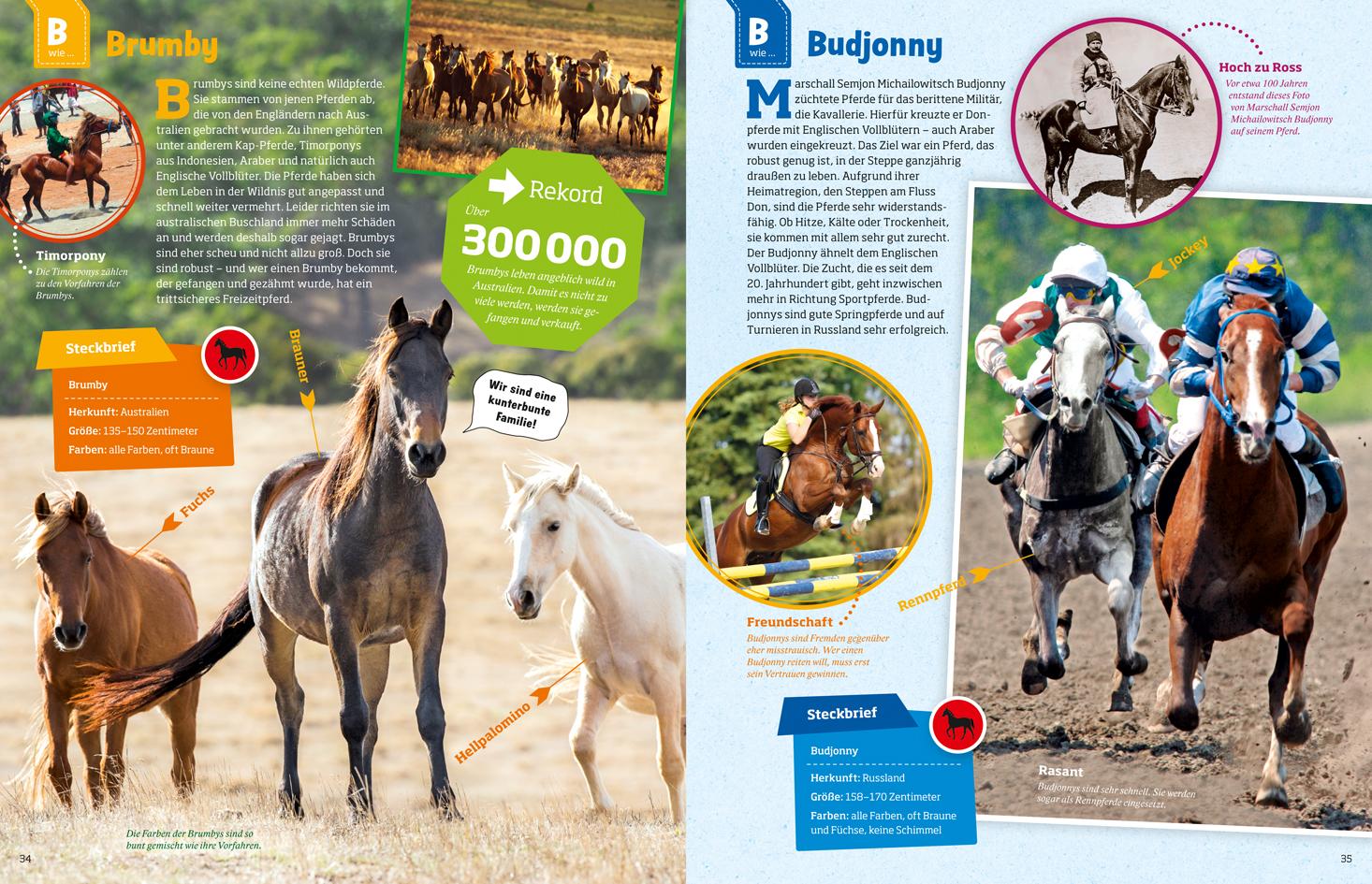 Beispielinhalt (Bild) Was ist was: Pferde und Ponys