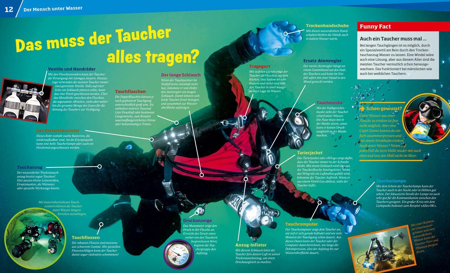Beispielinhalt (Bild) WAS IST WAS Band 139 Tauchen. Faszination unter Wasser