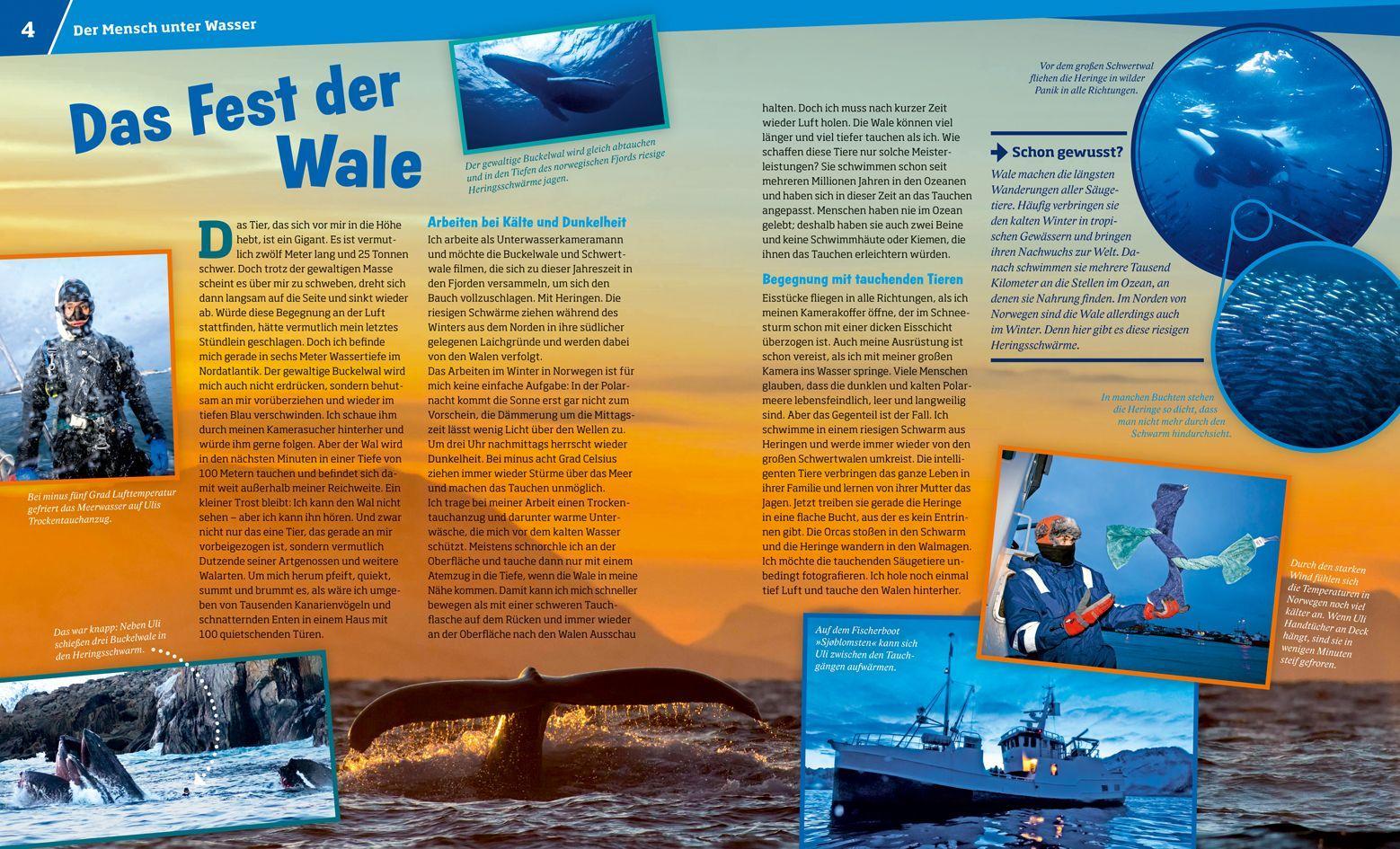 Beispielinhalt (Bild) WAS IST WAS Band 139 Tauchen. Faszination unter Wasser