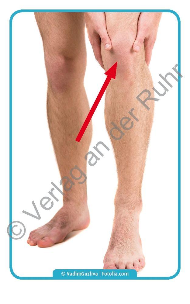 Beispielinhalt (Bild) Kleidung und Körper