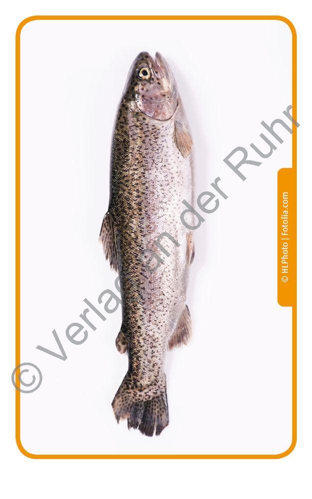 Beispielinhalt (Bild) Lebensmittel