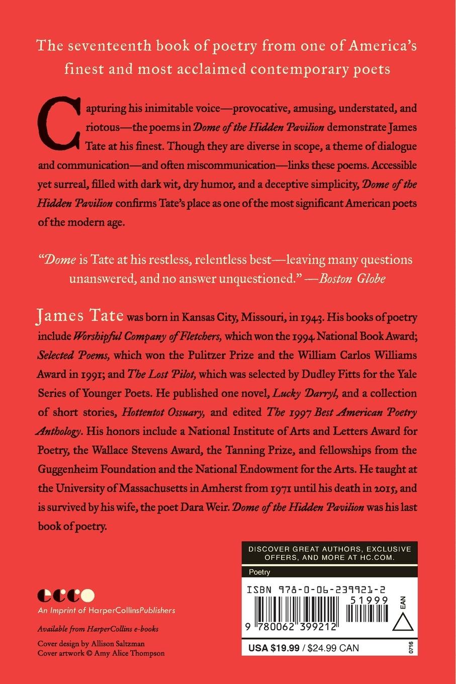 Rückseitencover Dome of the Hidden Pavilion