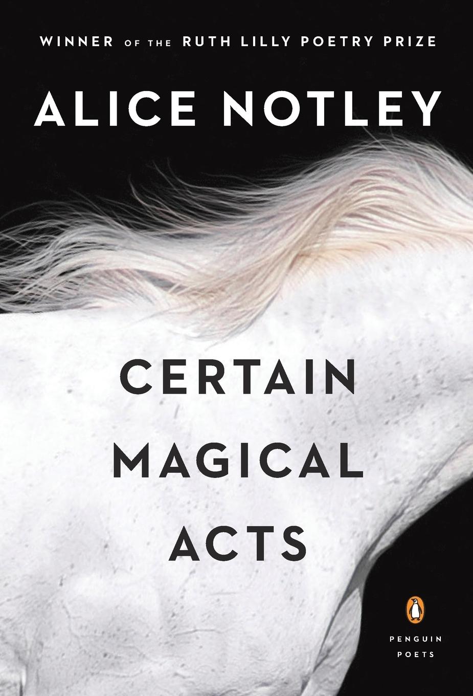 Vorderes Coverbild Certain Magical Acts